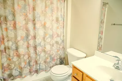 62 Red Berry Holly Lane, Hurdle Mills, NC 27541 - Photo 15