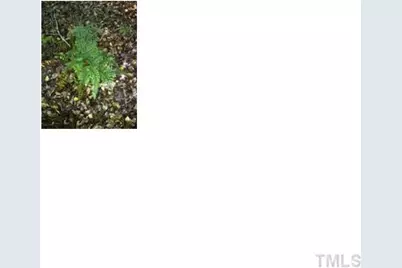 120 Rustler Road, Louisburg, NC 27549 - Photo 3