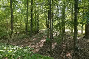 3349 Cheswick Dr, Raleigh, NC 27609 - Photo 29