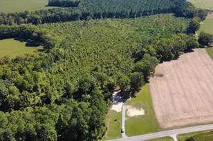 1528 Micro Rd W, Selma, NC 27576 - Photo 25