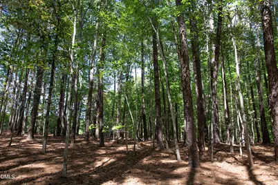 1716 Brassfield Road, Raleigh, NC 27614 - Photo 23