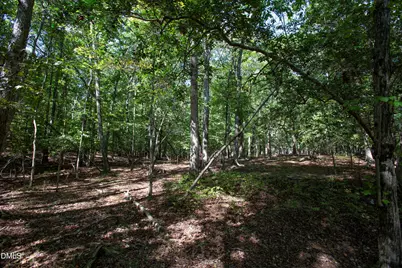 1716 Brassfield Road, Raleigh, NC 27614 - Photo 33