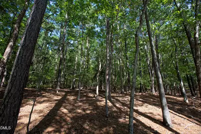 1716 Brassfield Road, Raleigh, NC 27614 - Photo 29