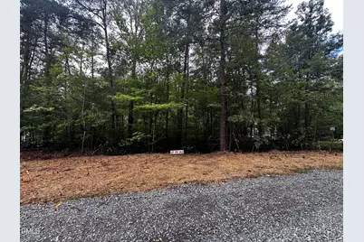 Lot 46 Green Pine Road, Cedar Grove, NC 27231 - Photo 3