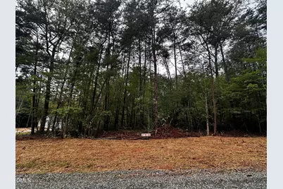 Lot 47 Green Pine Road, Cedar Grove, NC 27231 - Photo 1