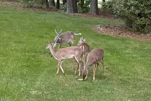 2921 Oak Bridge Dr, Raleigh, NC 27610 - Photo 57