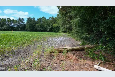 Tbd Jacobs Road, Maxton, NC 28364 - Photo 23