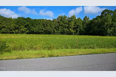 Tbd Jacobs Road, Maxton, NC 28364 - Photo 11