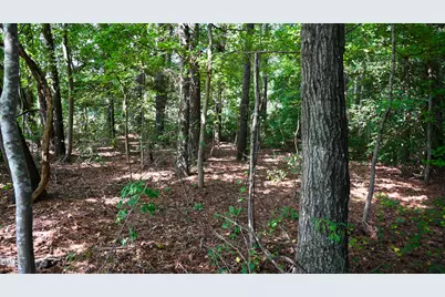 Tbd Jacobs Road, Maxton, NC 28364 - Photo 19