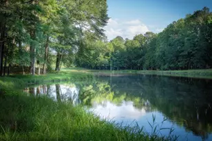 253 Night Lantern Ln, Wendell, NC 27591 - Photo 23