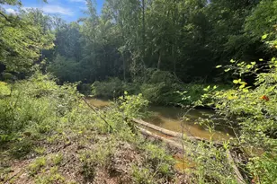 4592 Boogaboo Trail, Rougemont, NC 27572 - Photo 41
