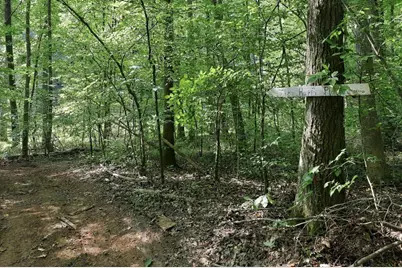 4592 Boogaboo Trail, Rougemont, NC 27572 - Photo 39