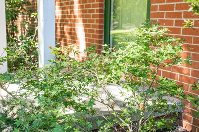 37 S Circle Drive, Chapel Hill, NC 27516 - Photo 5