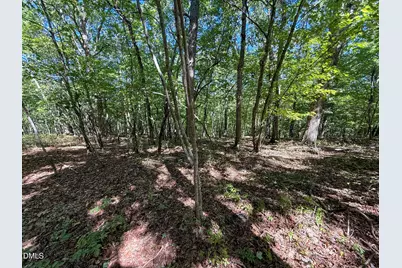 0 Ralph Moore Road, Bear Creek, NC 27207 - Photo 7