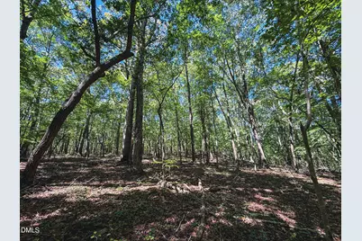 0 Ralph Moore Road, Bear Creek, NC 27207 - Photo 1