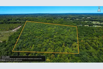 0 Ralph Moore Road, Bear Creek, NC 27207 - Photo 13
