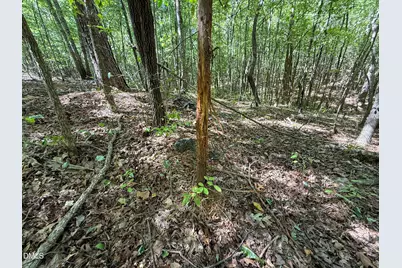 0 Ralph Moore Road, Bear Creek, NC 27207 - Photo 3