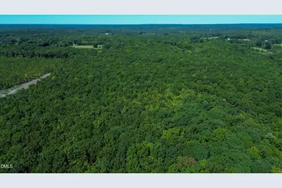 0 Ralph Moore Road, Bear Creek, NC 27207 - Photo 9