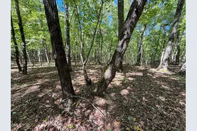 0 Ralph Moore Road, Bear Creek, NC 27207 - Photo 5