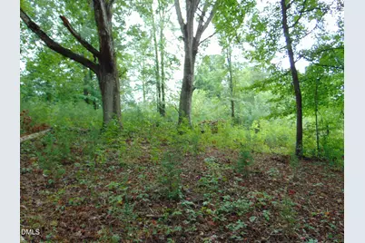 0 County Home Rd., Yanceyville, NC 27379 - Photo 17
