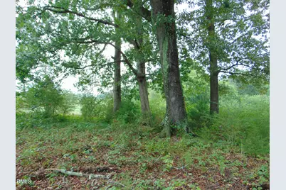 0 County Home Rd., Yanceyville, NC 27379 - Photo 19
