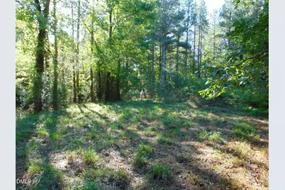 0 County Home Rd., Yanceyville, NC 27379 - Photo 29