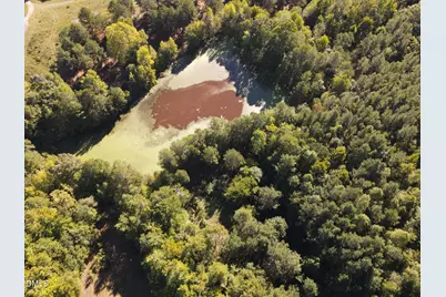 0 County Home Rd., Yanceyville, NC 27379 - Photo 5
