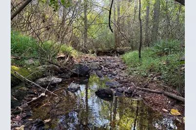 0 Maness Road, Robbins, NC 27325 - Photo 25