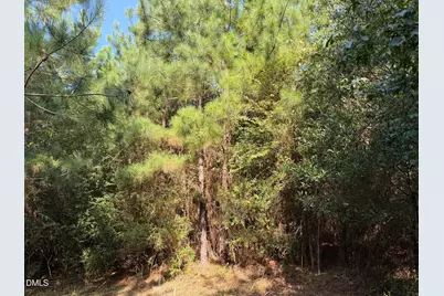 0 Maness Road, Robbins, NC 27325 - Photo 23