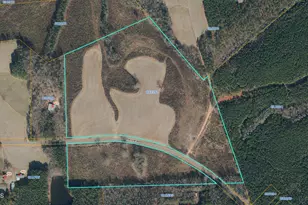 0 Fuller Rd, Louisburg, NC 27549 - Photo 1