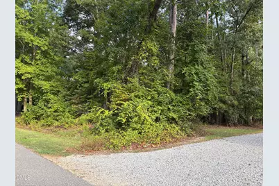 115 Blackfoot Drive, Louisburg, NC 27549 - Photo 3
