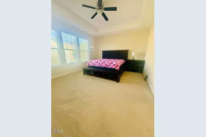 429 Hopwood Way, Apex, NC 27523 - Photo 11