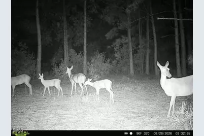50 Cutoff Road, Dunn, NC 28334 - Photo 57