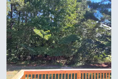 45 Buck Ridge Road, Louisburg, NC 27549 - Photo 3