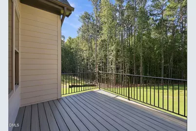357 Black Caviar Way, Raleigh, NC 27603 - Photo 45
