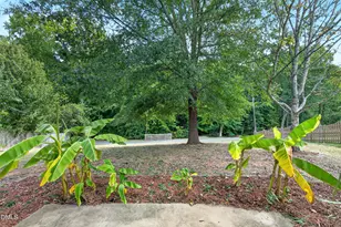 313 Sturminster Dr, Holly Springs, NC 27540 - Photo 39