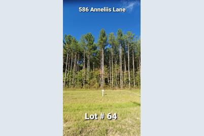 586 Anneliis Lane - Photo 1