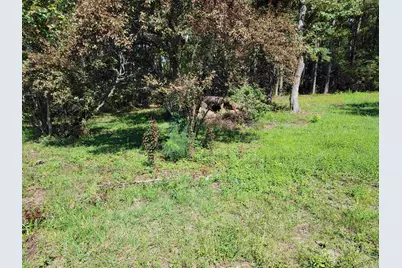 4001 Arlington Street, Rocky Mount, NC 27807 - Photo 5