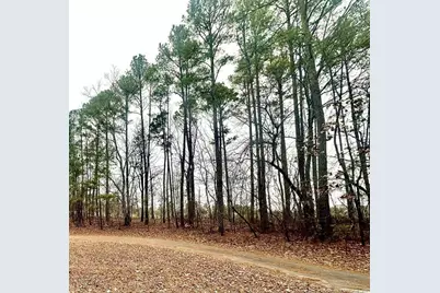 119 Boulder Drive, West End, NC 27376 - Photo 1