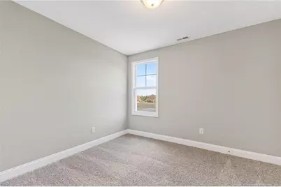 4214 Darroch Road, Lillington, NC 27546 - Photo 33