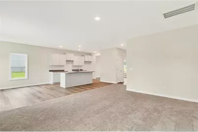 229 Palomo Place, Raeford, NC 28376 - Photo 15