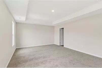 229 Palomo Place, Raeford, NC 28376 - Photo 35