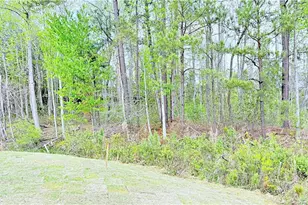 3379 Scotscraig Rd Lot 34, Fayetteville, NC 28306 - Photo 27