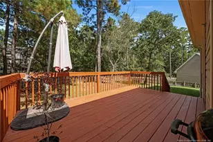 45 Cutter Cir, Sanford, NC 27332 - Photo 35