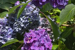 1906 Partridge Dr, Fayetteville, NC 28304 - Photo 47