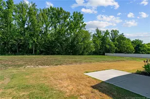 91 Walker Grv Ln, Lillington, NC 27546 - Photo 47