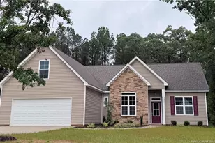 261 River Falls Rd, Sanford, NC 27332 - Photo 1
