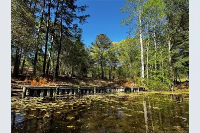 864 Vic Keith Road, Sanford, NC 27332 - Photo 17