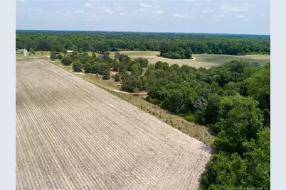 6226 Deerstand Road, Wade, NC 28395 - Photo 47