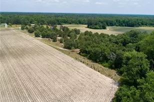 6226 Deerstand Rd, Wade, NC 28395 - Photo 47